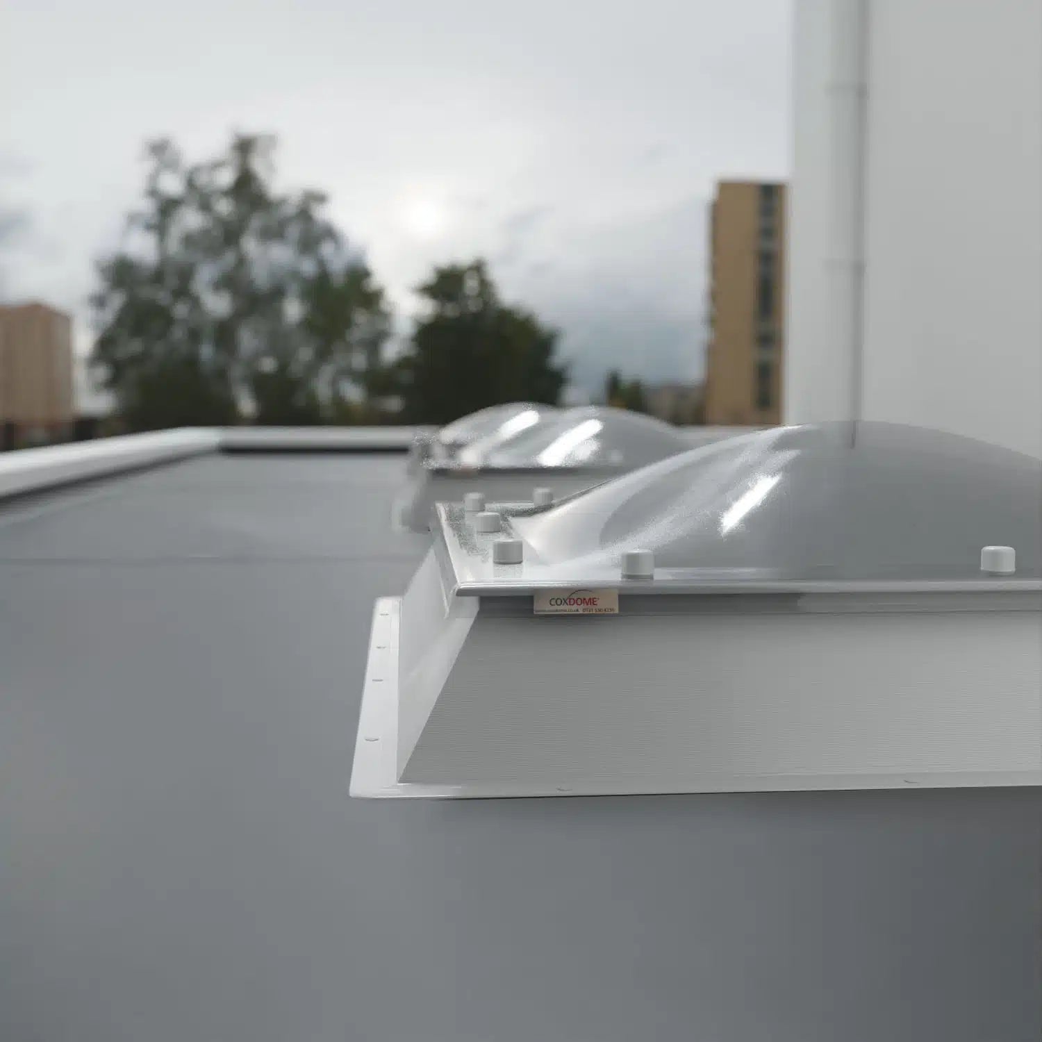 Coxdome Classic Flat Roof Dome [Fixed]